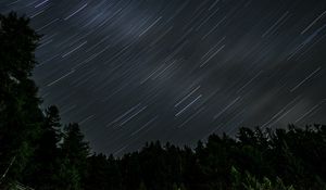 Preview wallpaper trees, stars, rotation, long exposure, dark
