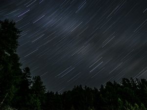 Preview wallpaper trees, stars, rotation, long exposure, dark