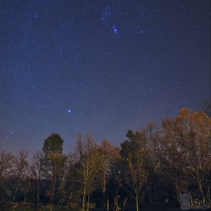 Preview wallpaper trees, stars, sky, night