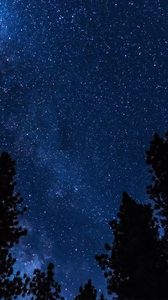 Preview wallpaper trees, stars, starry sky, night
