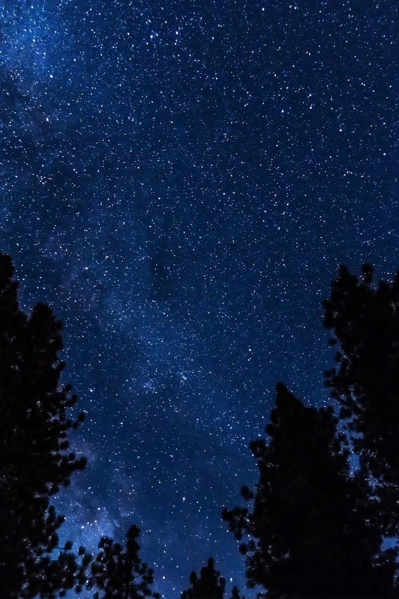 Download wallpaper 800x1200 trees, stars, starry sky, night iphone 4s/4 for  parallax hd background
