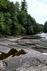 Preview wallpaper trees, stones, river, relief, landscape, nature