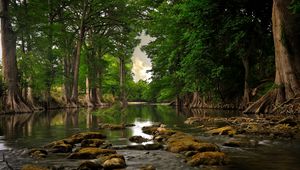 Preview wallpaper trees, stones, river, moss, summer