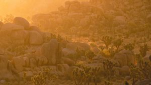 Preview wallpaper trees, stones, rocks, rays, sun