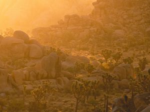 Preview wallpaper trees, stones, rocks, rays, sun