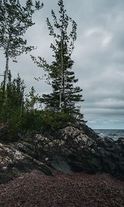 Preview wallpaper trees, stones, shore, sea