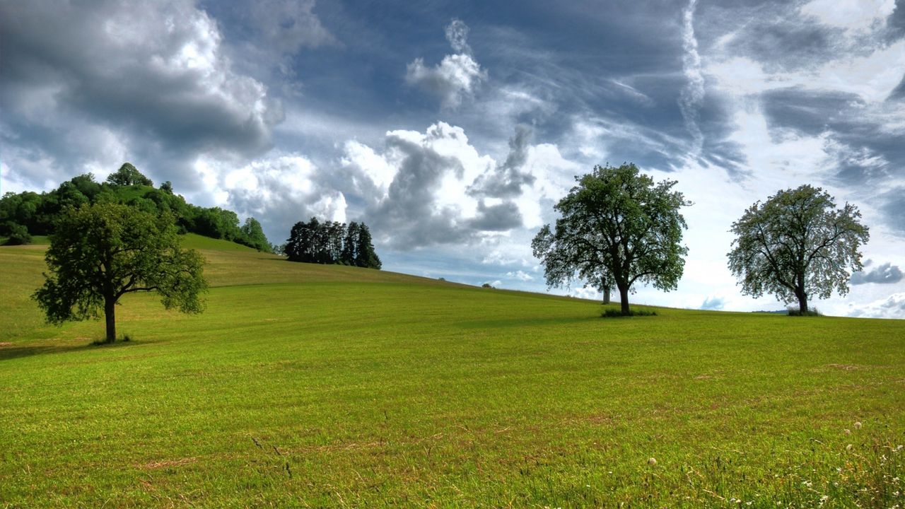 Wallpaper trees, summer, grass, sky, clouds, air