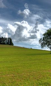 Preview wallpaper trees, summer, grass, sky, clouds, air