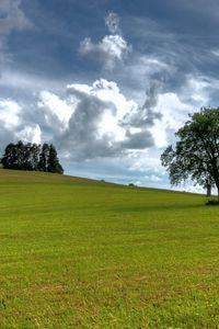 Preview wallpaper trees, summer, grass, sky, clouds, air