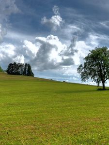 Preview wallpaper trees, summer, grass, sky, clouds, air