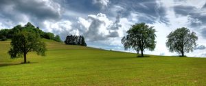 Preview wallpaper trees, summer, grass, sky, clouds, air