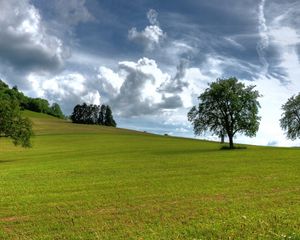 Preview wallpaper trees, summer, grass, sky, clouds, air