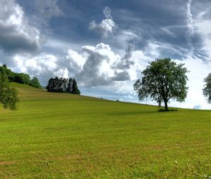 Preview wallpaper trees, summer, grass, sky, clouds, air