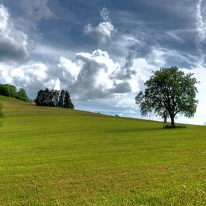 Preview wallpaper trees, summer, grass, sky, clouds, air