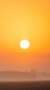 Preview wallpaper trees, sun, fog, nature