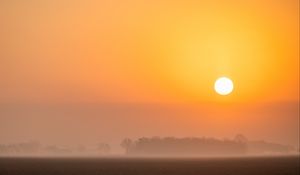 Preview wallpaper trees, sun, fog, nature