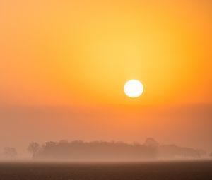 Preview wallpaper trees, sun, fog, nature