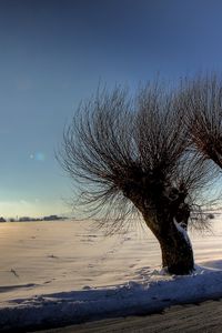 Preview wallpaper trees, sun, light, patches of light, rods, snow