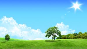 Preview wallpaper trees, sun, meadow, day