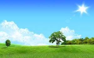 Preview wallpaper trees, sun, meadow, day