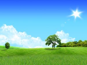 Preview wallpaper trees, sun, meadow, day