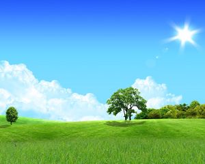 Preview wallpaper trees, sun, meadow, day