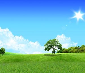Preview wallpaper trees, sun, meadow, day