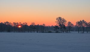 Preview wallpaper trees, sun, snow, winter, sunset