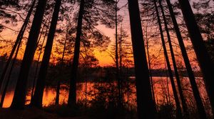 Preview wallpaper trees, sunset, dusk, dark