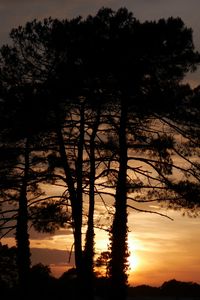 Preview wallpaper trees, sunset, dusk, dark, nature