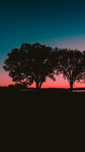 Preview wallpaper trees, sunset, horizon