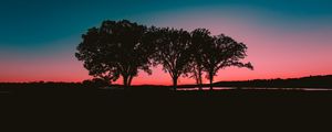 Preview wallpaper trees, sunset, horizon