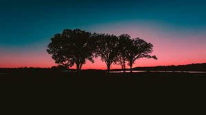 Preview wallpaper trees, sunset, horizon