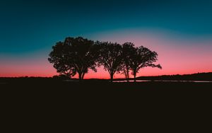Preview wallpaper trees, sunset, horizon
