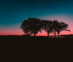 Preview wallpaper trees, sunset, horizon
