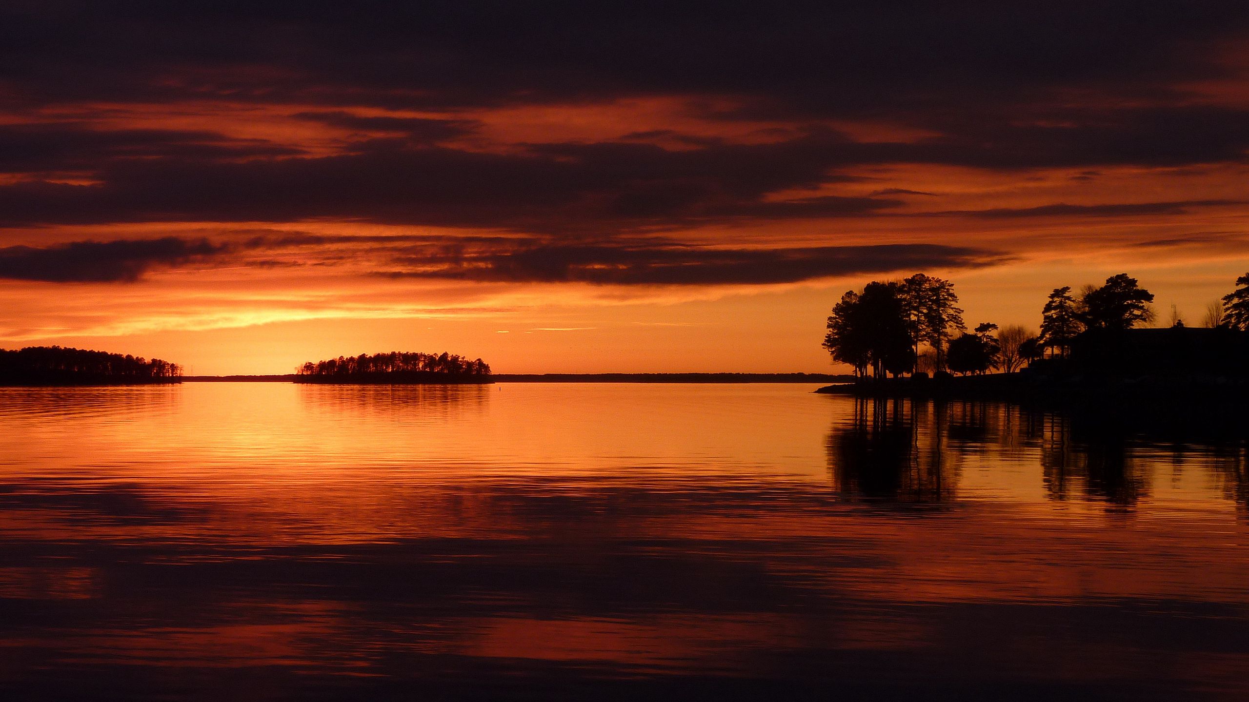 Download wallpaper 2560x1440 trees, sunset, lake, night widescreen 16:9