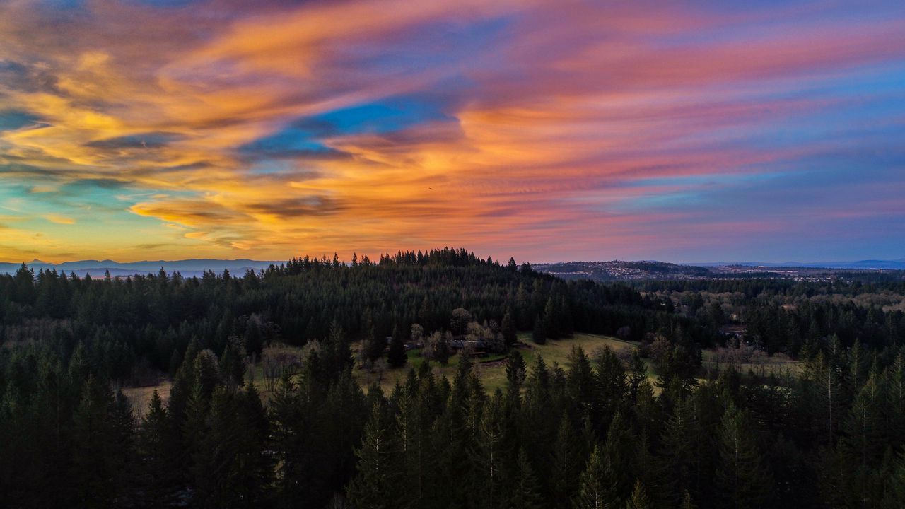 Wallpaper trees, sunset, mountains