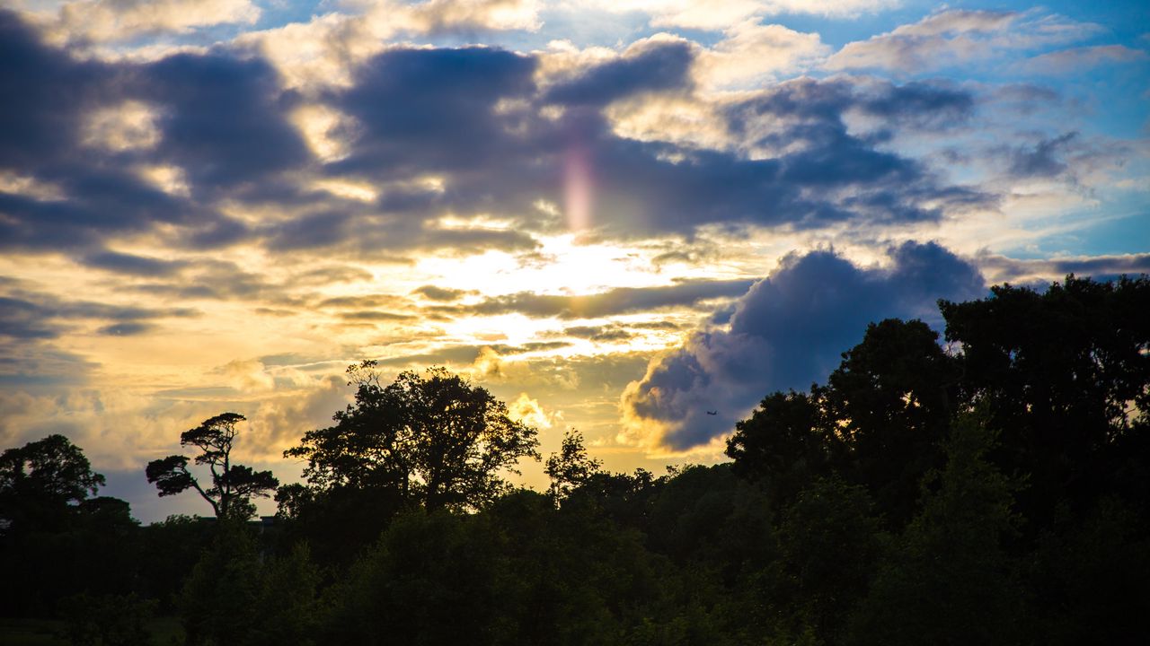 Wallpaper trees, sunset, sky, clouds