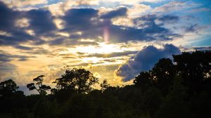 Preview wallpaper trees, sunset, sky, clouds