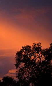 Preview wallpaper trees, sunset, sky, clouds, outlines, branches