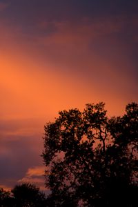 Preview wallpaper trees, sunset, sky, clouds, outlines, branches