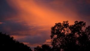 Preview wallpaper trees, sunset, sky, clouds, outlines, branches