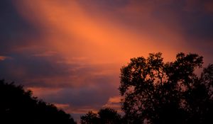 Preview wallpaper trees, sunset, sky, clouds, outlines, branches
