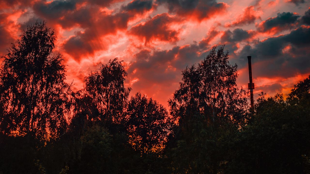 Wallpaper trees, sunset, sky, clouds, autumn, evening