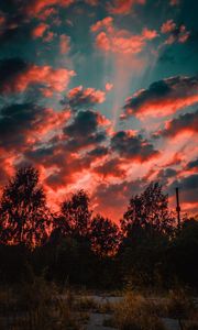 Preview wallpaper trees, sunset, sky, clouds, autumn, evening