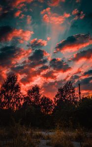 Preview wallpaper trees, sunset, sky, clouds, autumn, evening