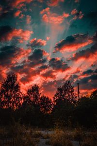 Preview wallpaper trees, sunset, sky, clouds, autumn, evening