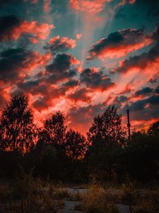 Preview wallpaper trees, sunset, sky, clouds, autumn, evening