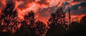 Preview wallpaper trees, sunset, sky, clouds, autumn, evening