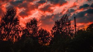 Preview wallpaper trees, sunset, sky, clouds, autumn, evening